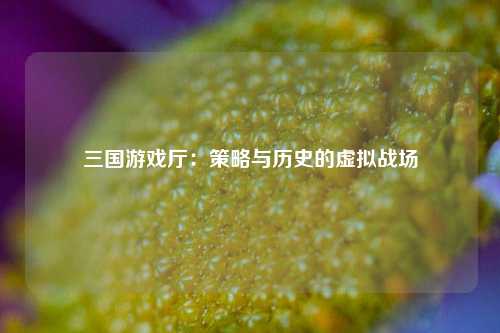 三国游戏厅：策略与历史的虚拟战场
