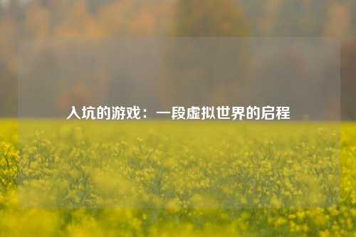 入坑的游戏：一段虚拟世界的启程