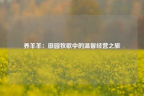 养羊羊：田园牧歌中的温馨经营之旅